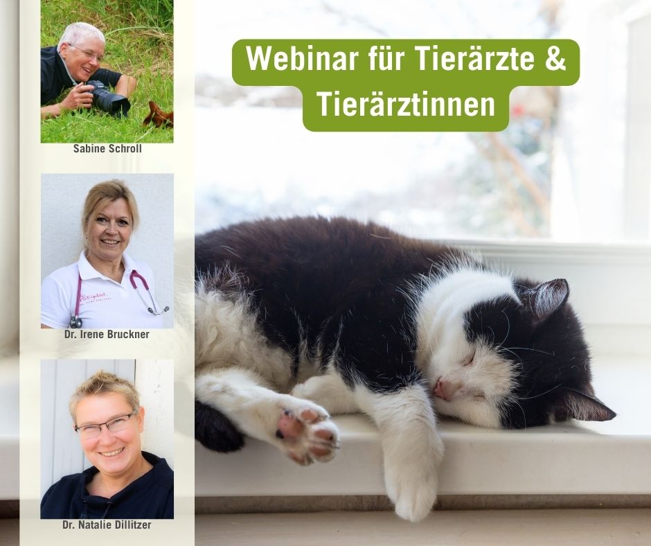 Webinar Katzensenioren 21.05.25